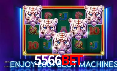 A Emoção da Loteria na 5566bet: Uma Chance de Mudança de Vida